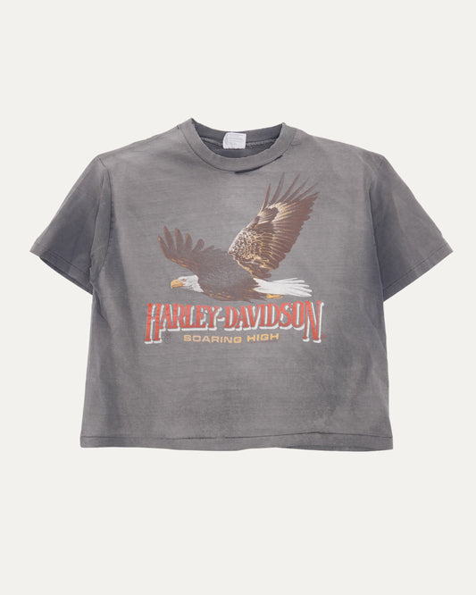 Harley Davidson Soaring High Dubuque T-Shirt