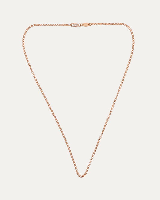 Gold Roll Chain Necklace