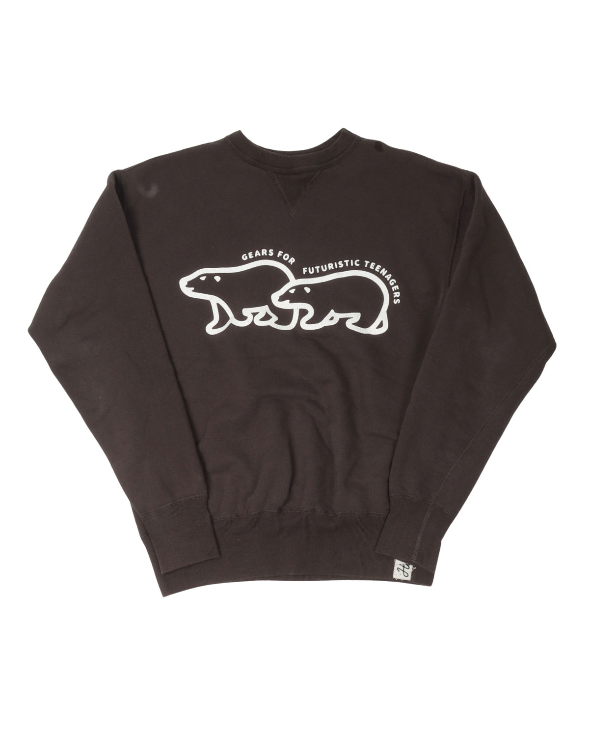 Polar Bear Sweatshirt