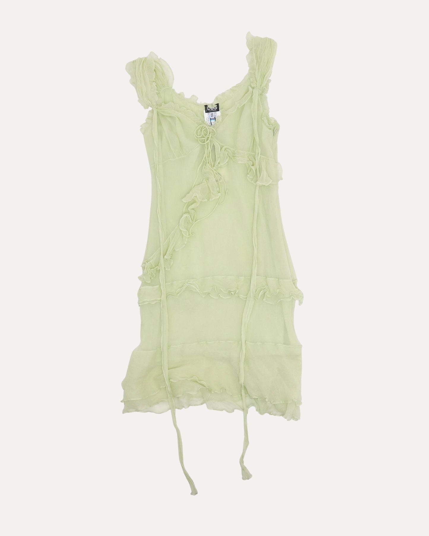 Sheer Ruffled Mini Dress