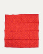 Math Plus Cross Silk Scarf