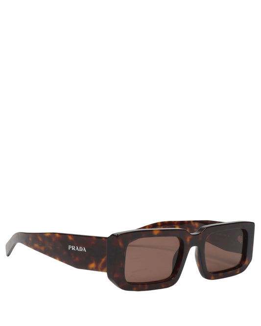 Tortoiseshell Sunglasses