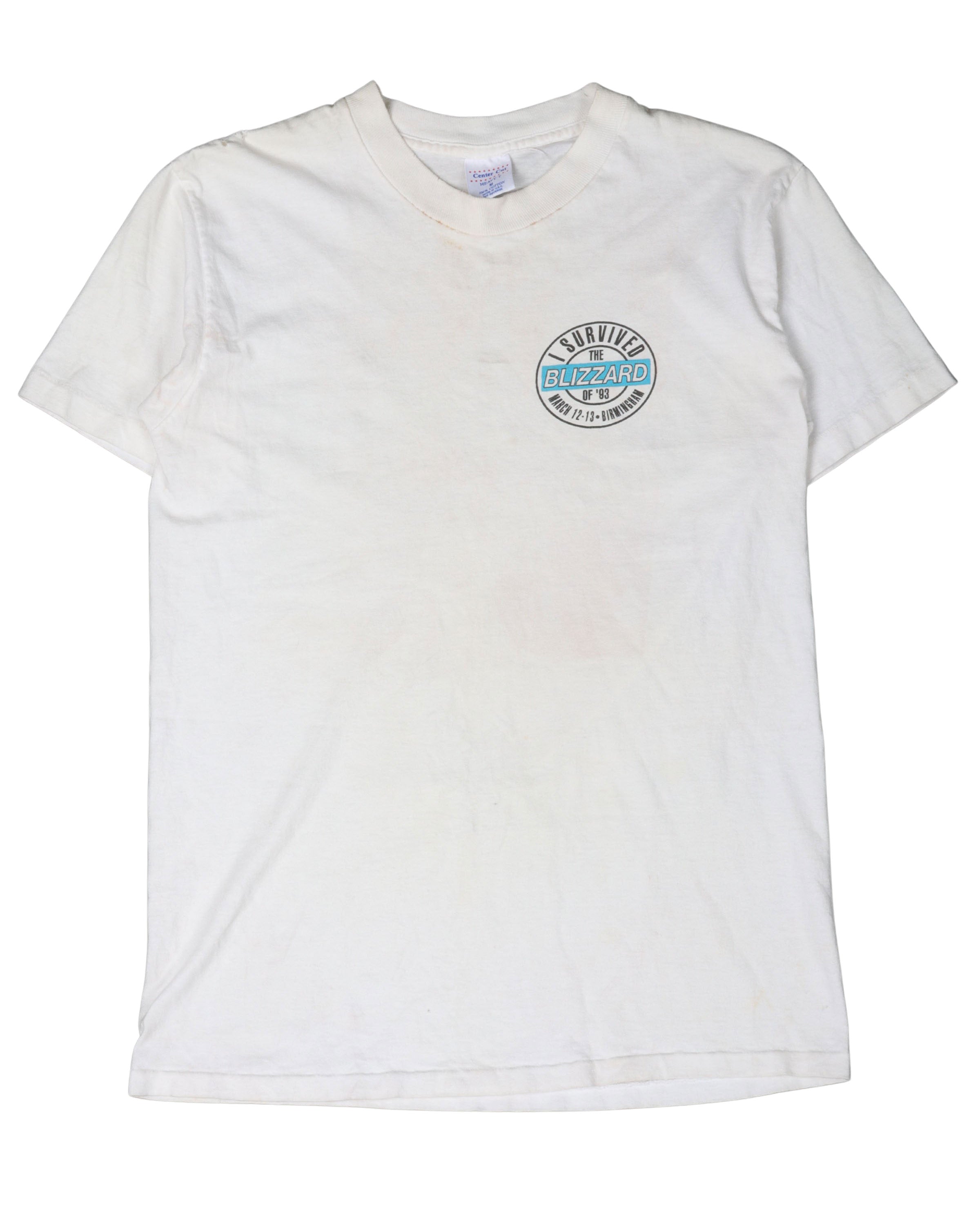 Birmingham Alabama Snow Storm  T-Shirt