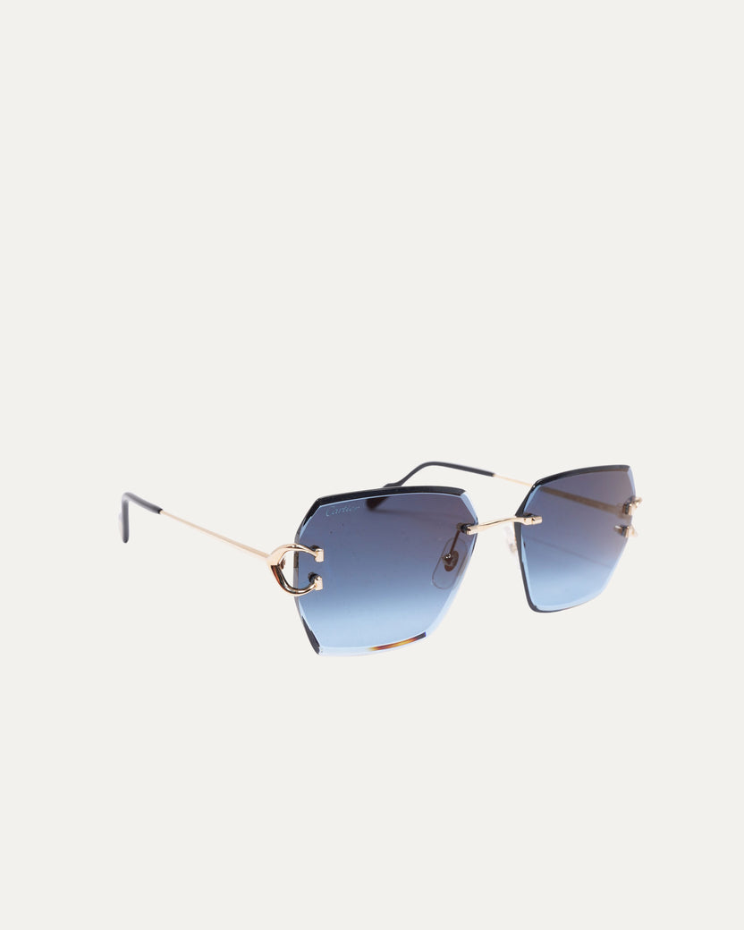 CT0466S Sunglasses