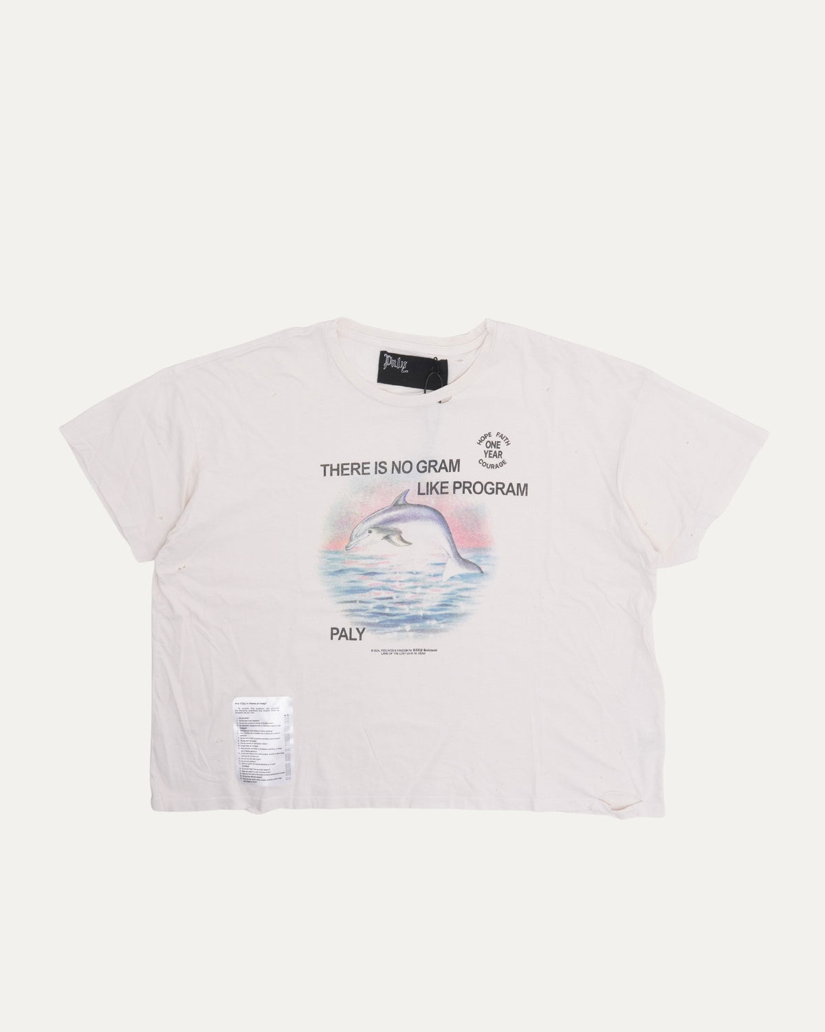 Program T-Shirt