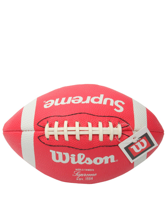 FW10 Wilson Hail Mary Mini Football