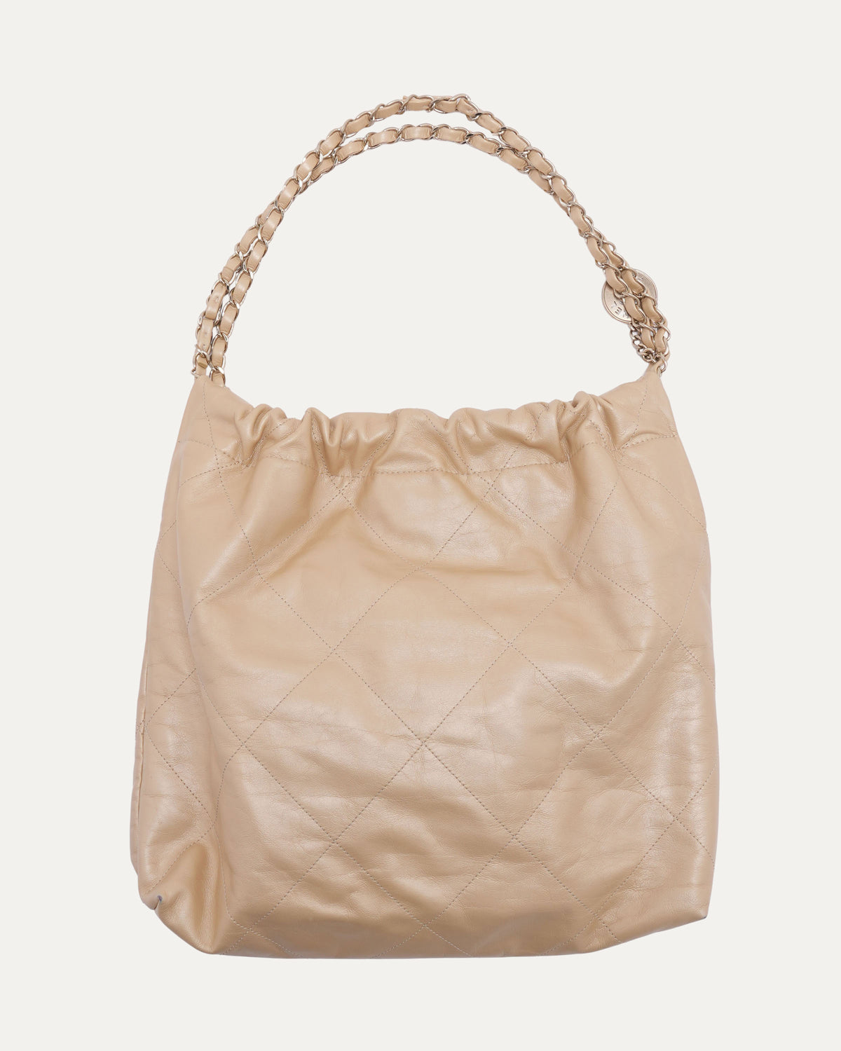 Small Hobo 22 Bag