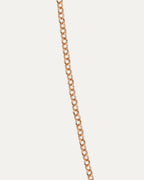 Gold Roll Chain Necklace