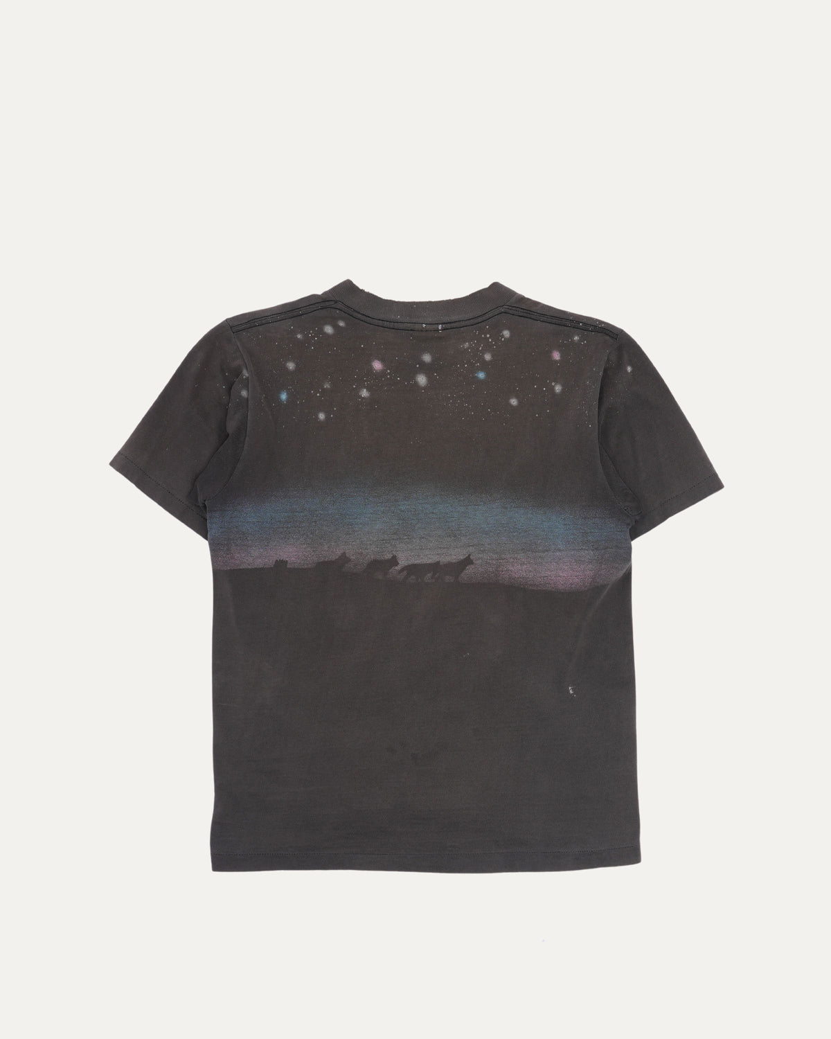 Yellowstone National Park Repaired T-Shirt