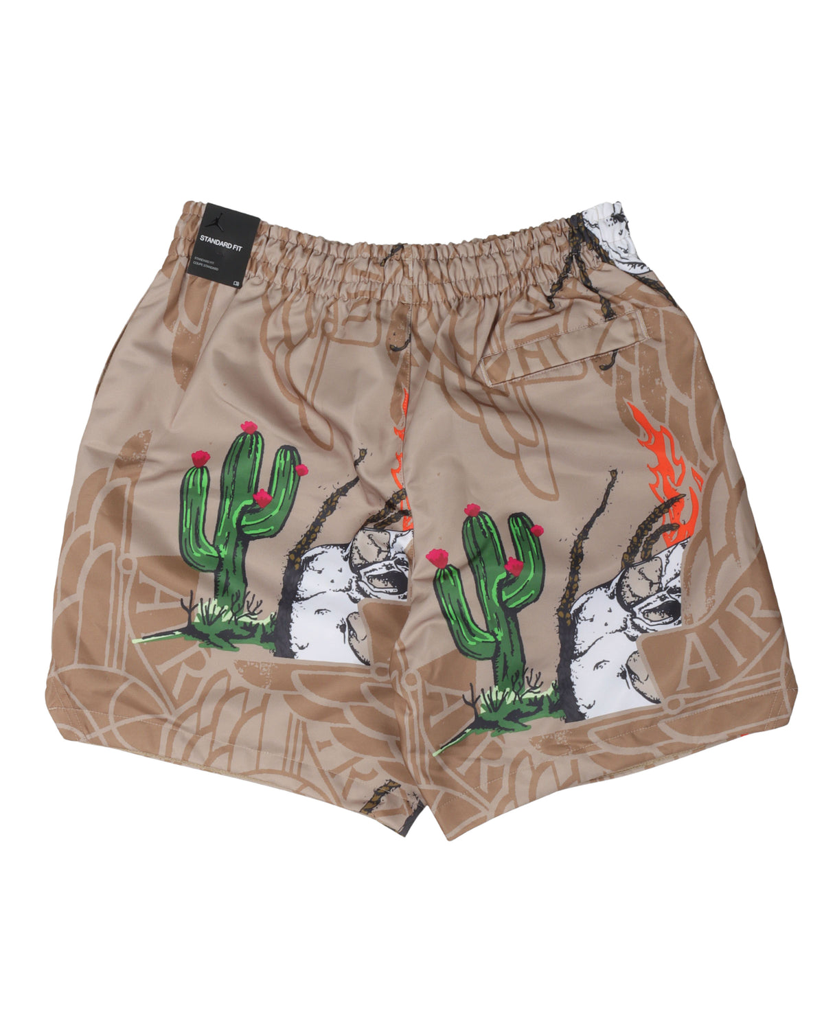 Jordan Pool Shorts