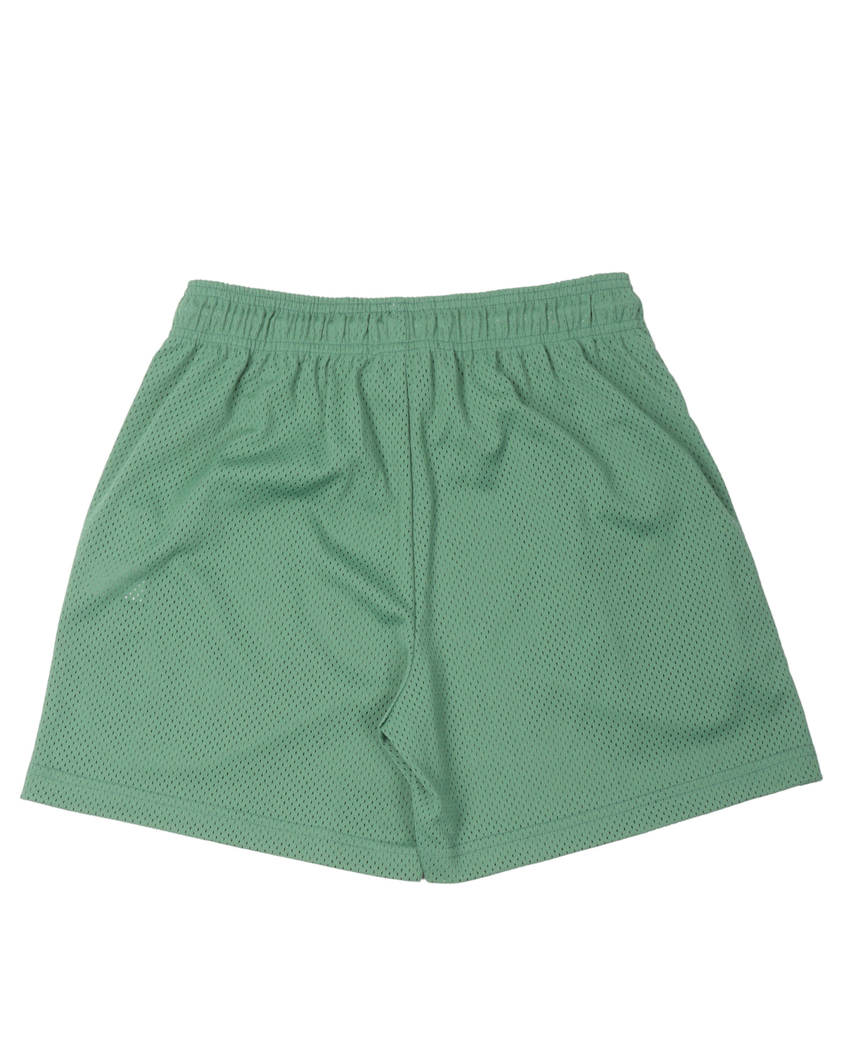 Gym Shorts