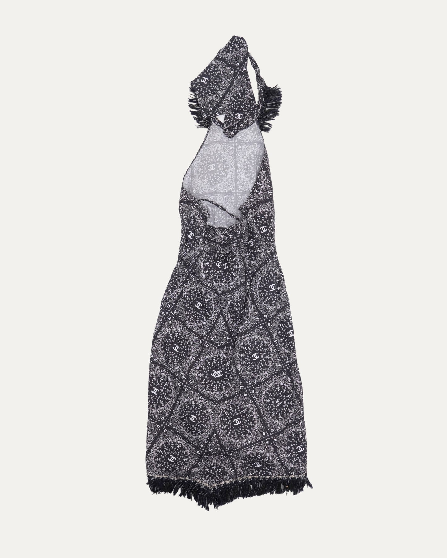Paisley Print Dress