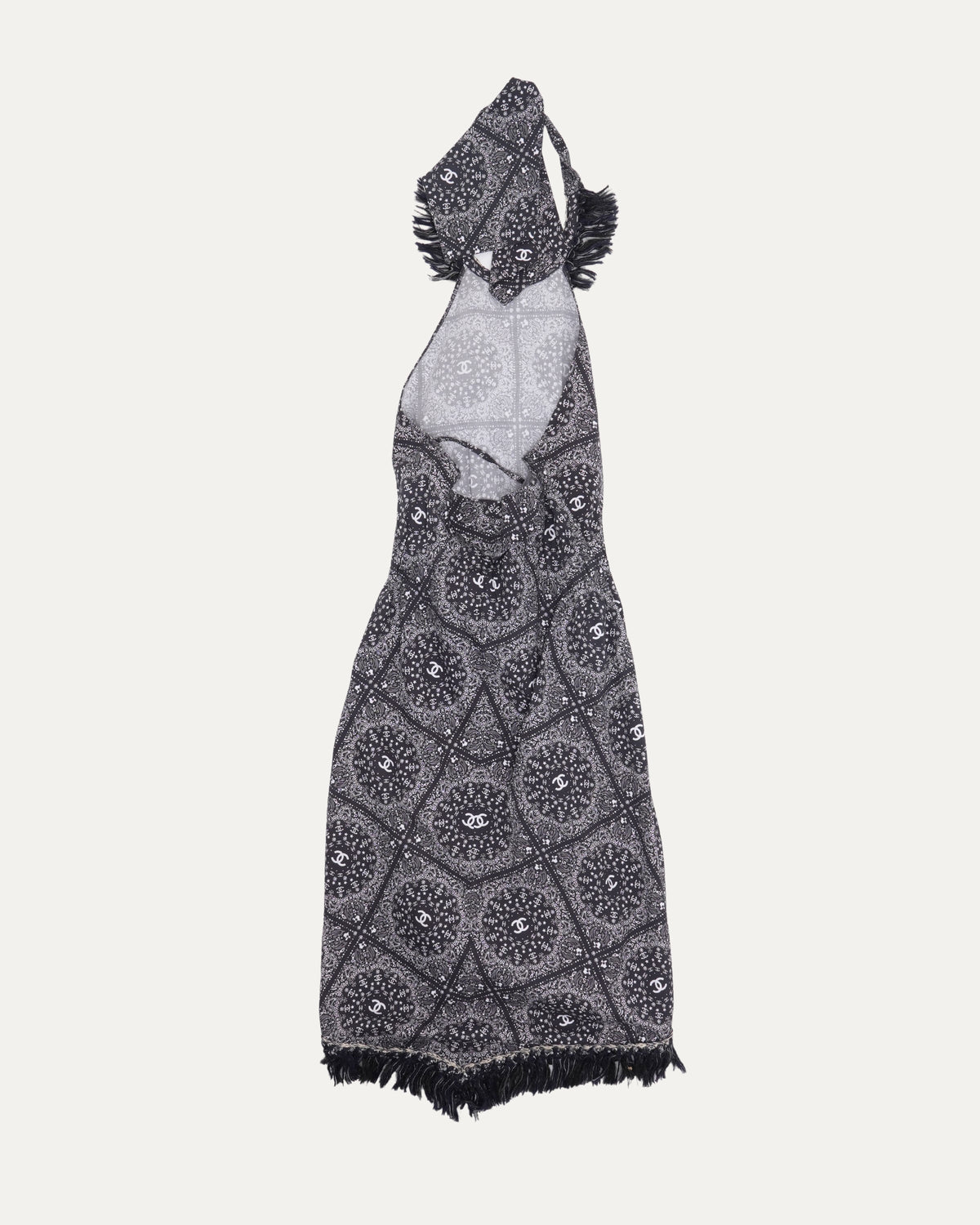 Paisley Print Dress