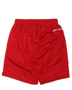 Matty Boy Form Mesh Varsity Shorts