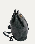 Alligator Backpack