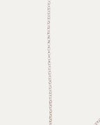 Roll Chain