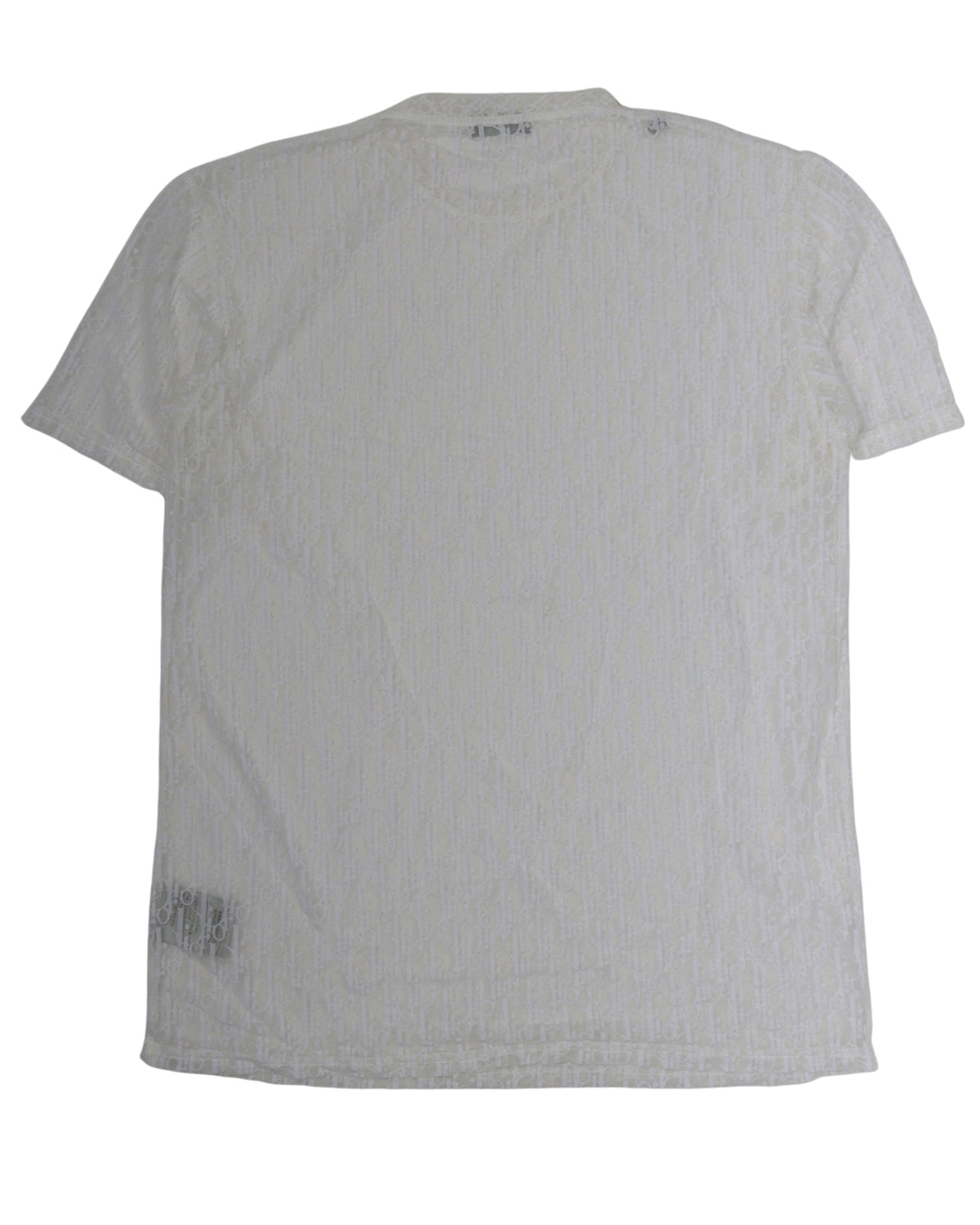 Oblique Transparent Shirt