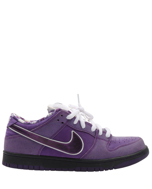 Concepts Purple Lobster SB Dunk