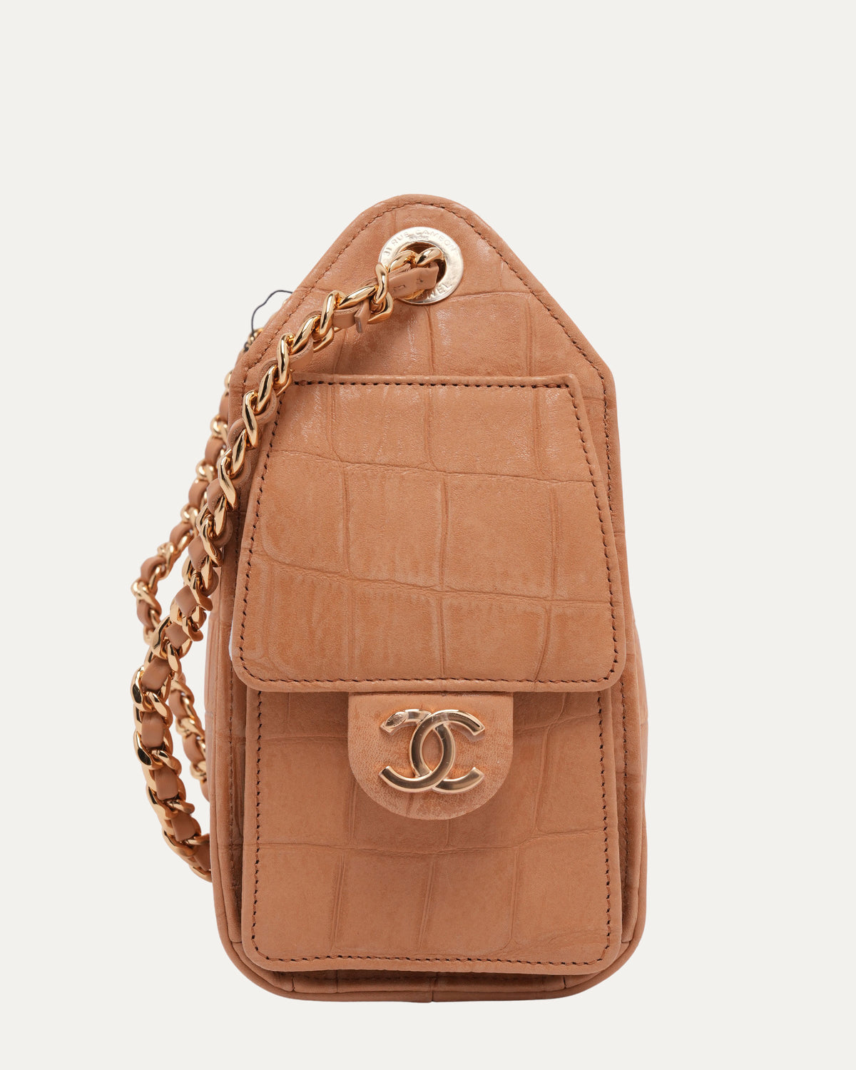 Crocodile Embossed Suede Mini 25 Hobo Bag