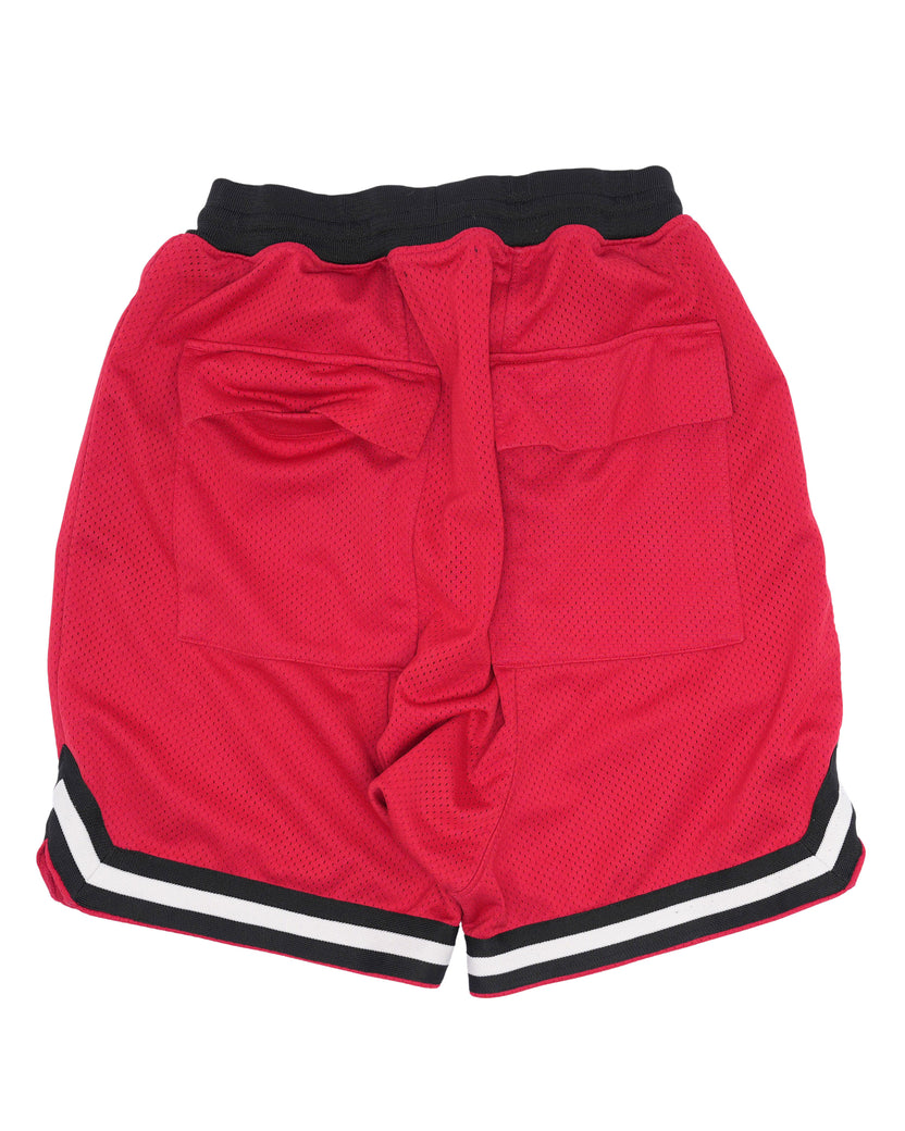 Fifth Collection Shorts