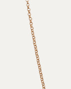 Gold Roll Chain