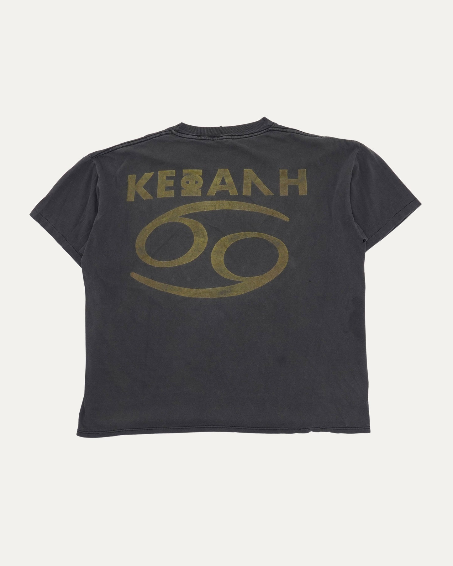 Ministry Psalm 69 T-Shirt