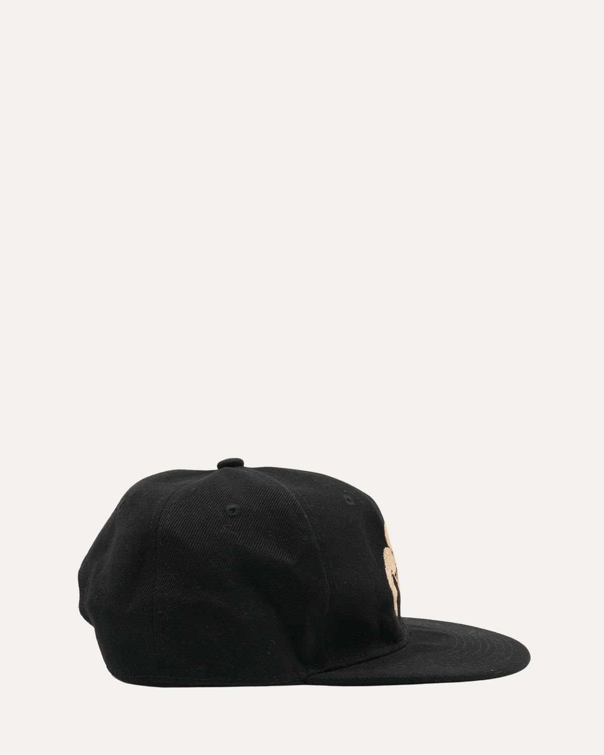 Narcotics Anonymous Snapback Hat