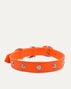 Studded Leather Dog Collar