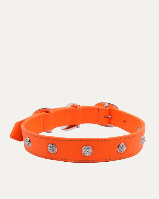 Studded Leather Dog Collar