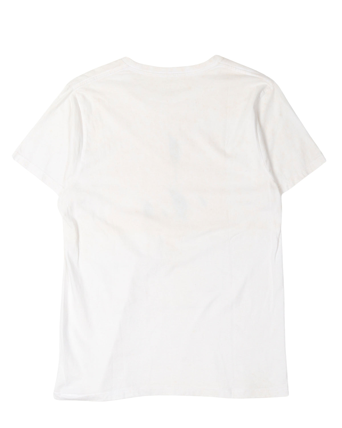 Cy Twombly Natural History Part II: Some Trees of Italy (Laurus Nobilis) T-Shirt