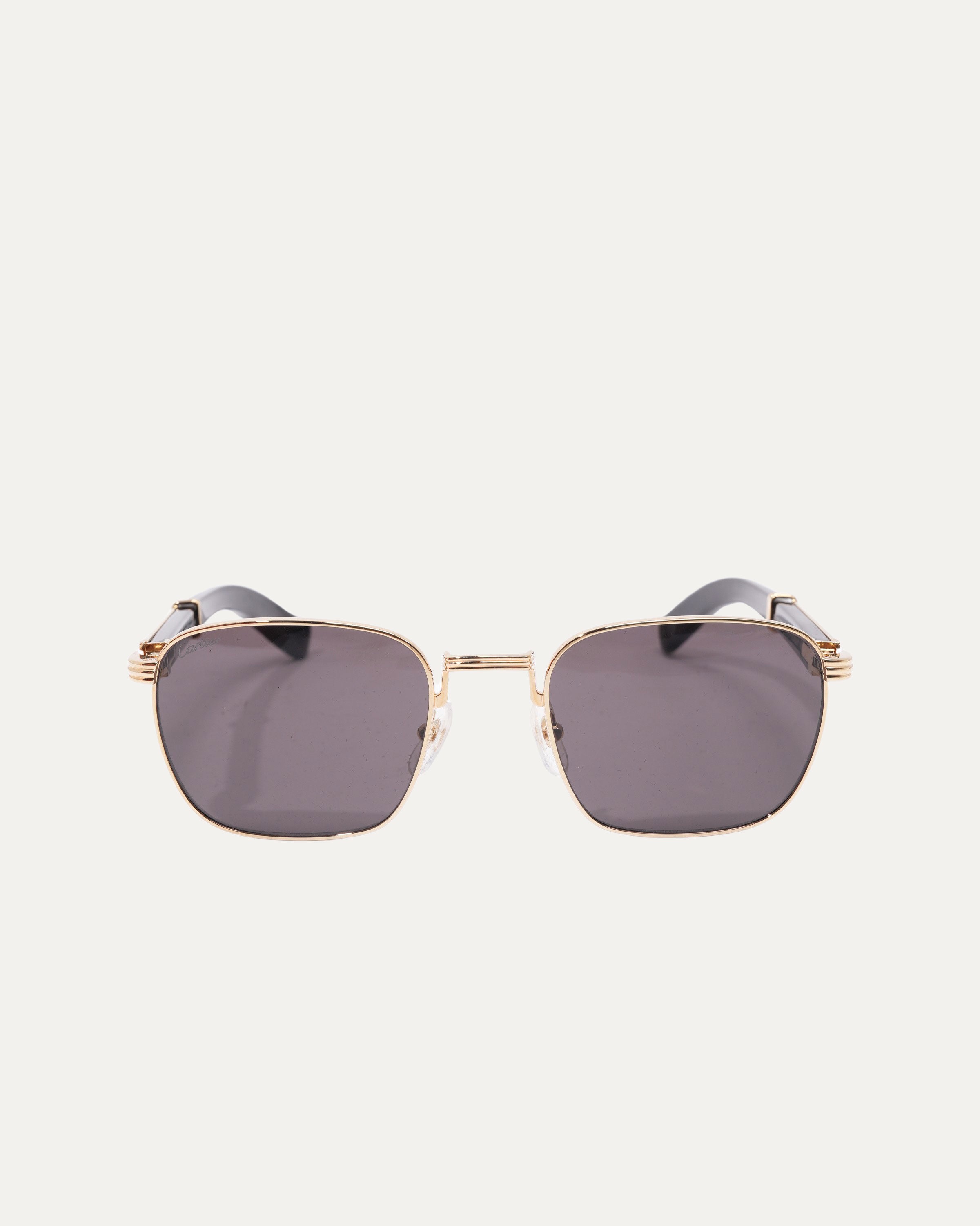 Buffalo Horn CT0363S Sunglasses