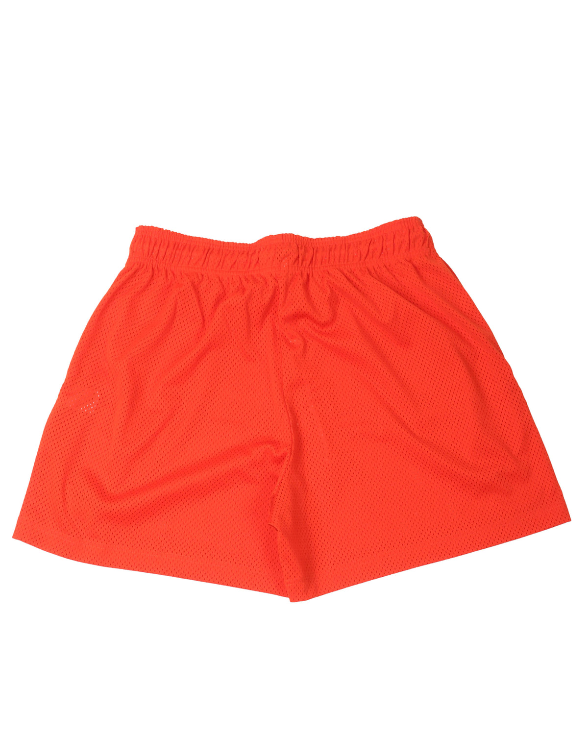 Gym Shorts