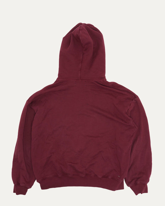 College Logo Hoodie
