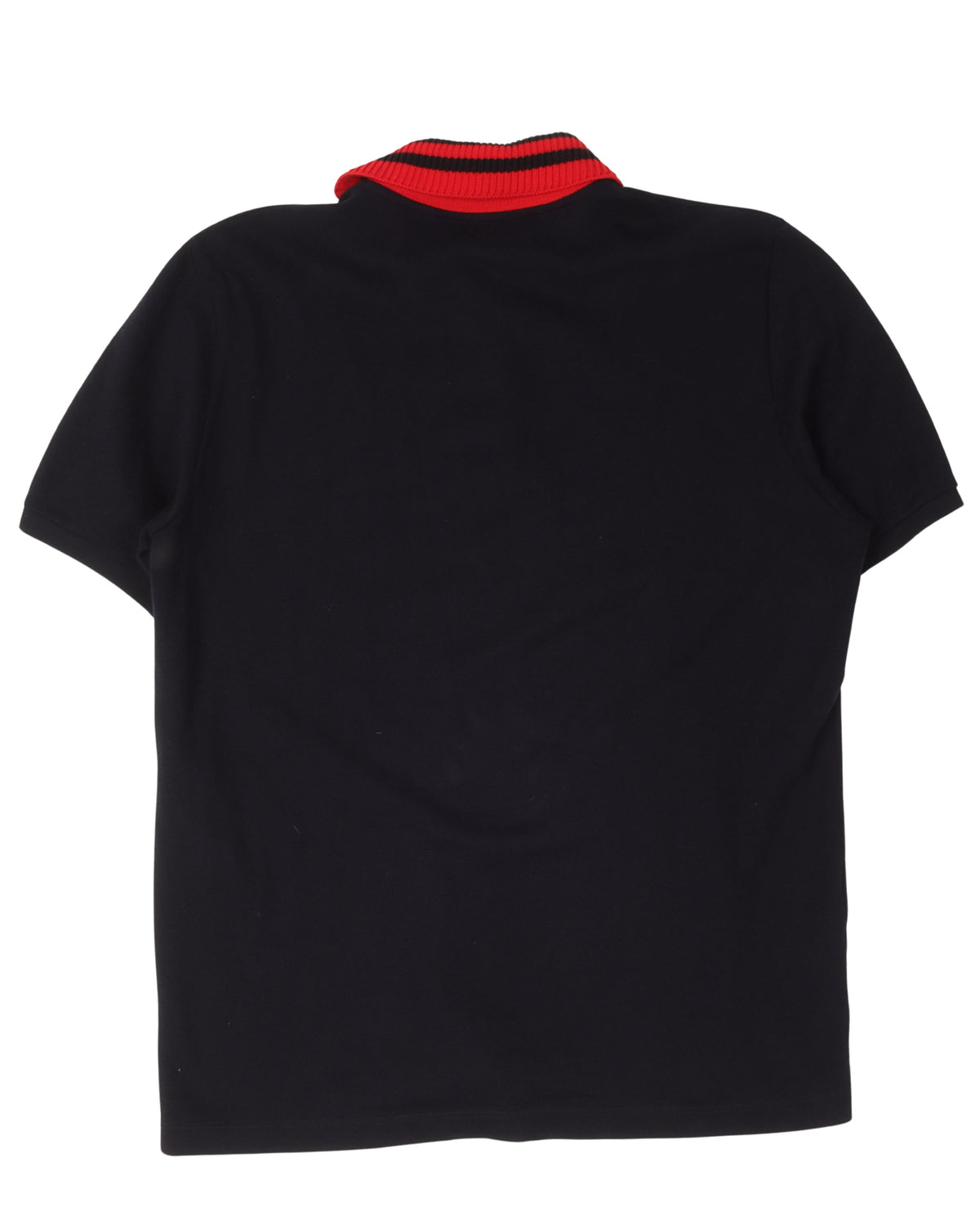 Embroidered Polo Shirt