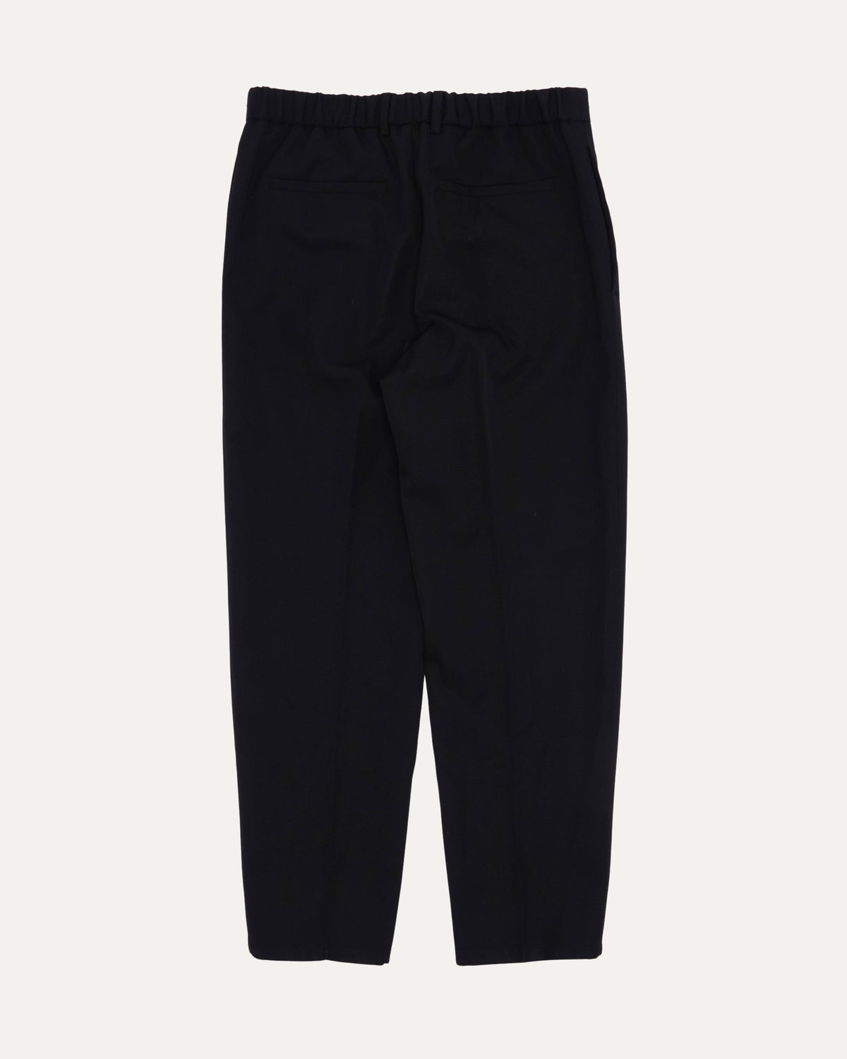Pleated Trousers