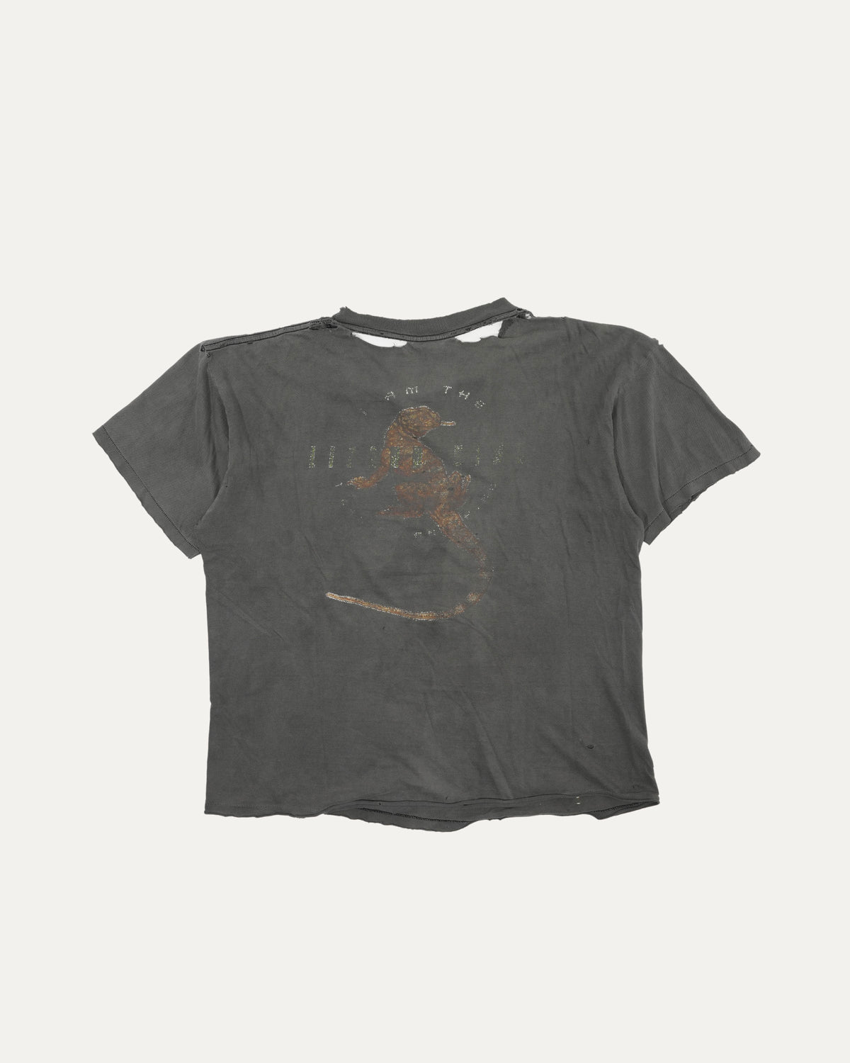 Jim Morrison 'I am the Lizard King' T-Shirt