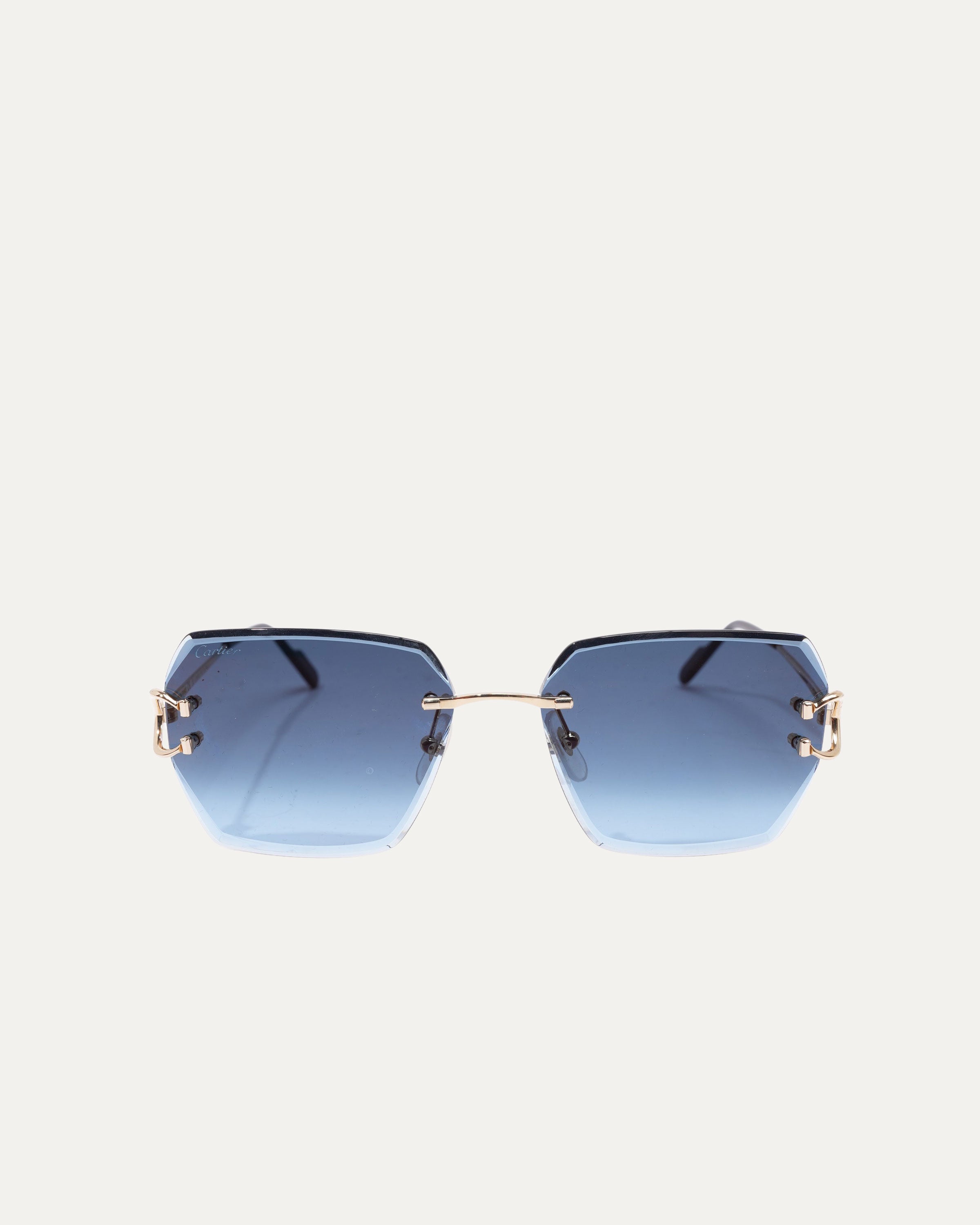 CT0466S Sunglasses