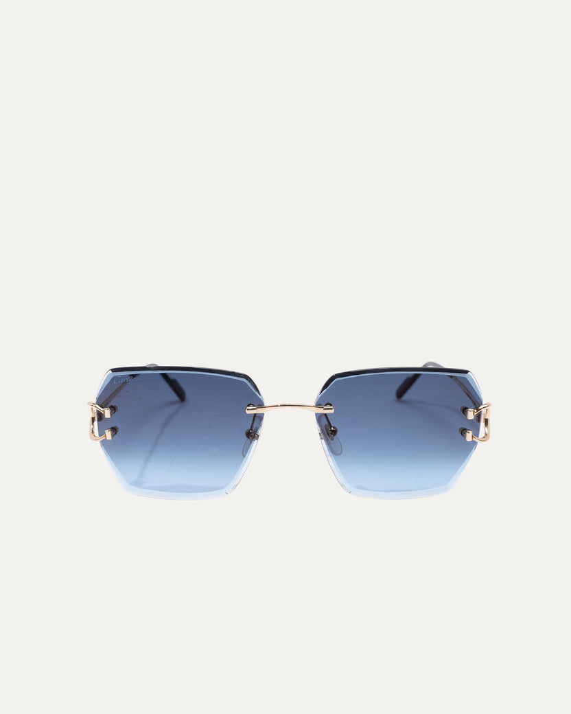 CT0466S Sunglasses