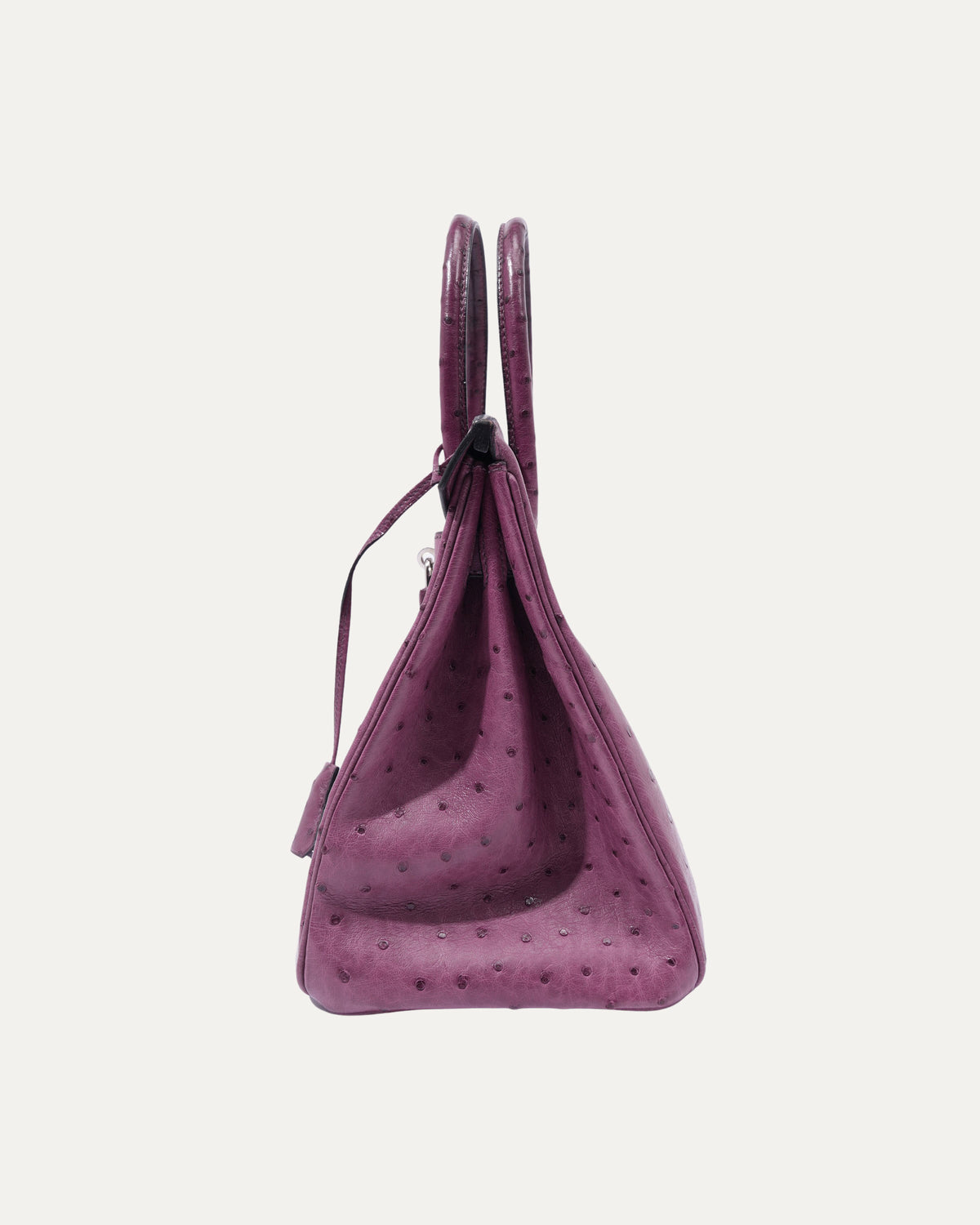 Violine Ostrich Birkin 30