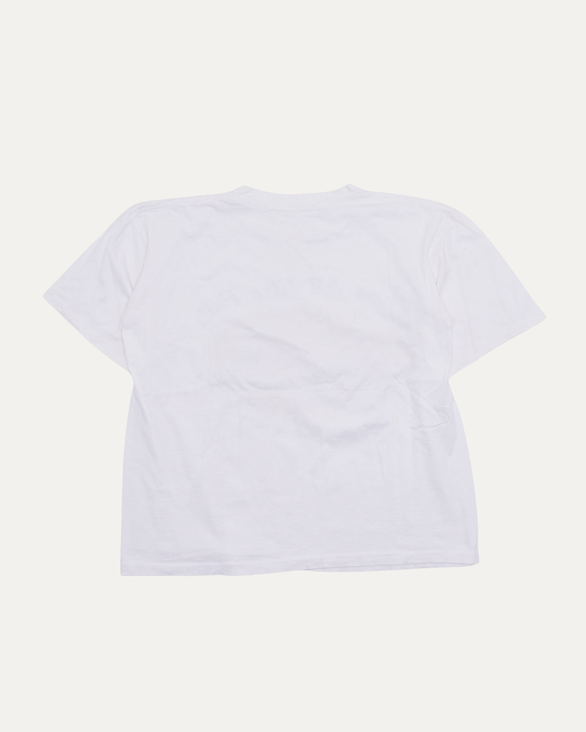 Bible T-Shirt