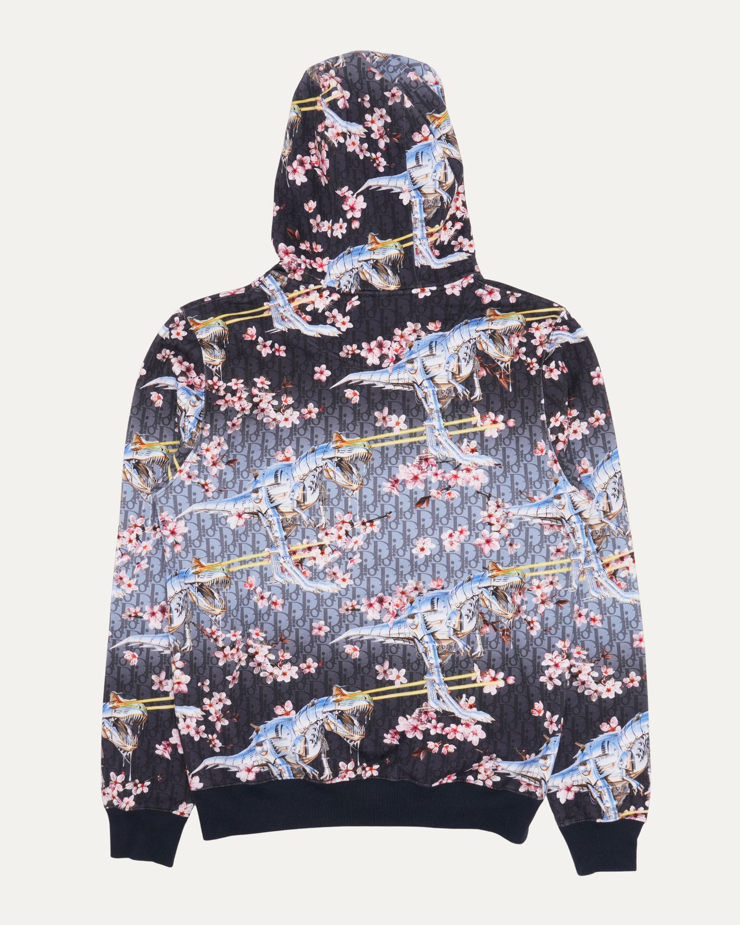 Sorayama Dinosaur Cherry Blossom Oblique Hoodie