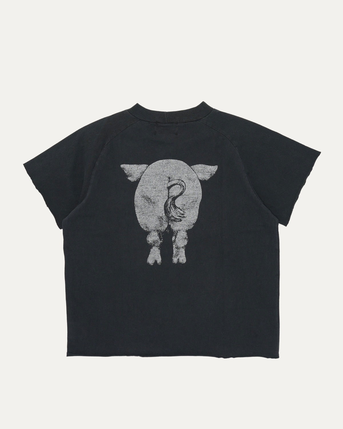 Junk Pig Assemblage Raglan T-Shirt