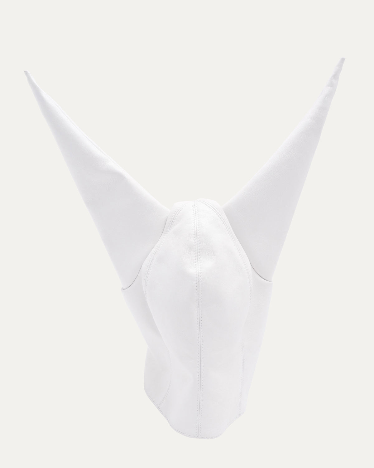 Leather Dunce Cap