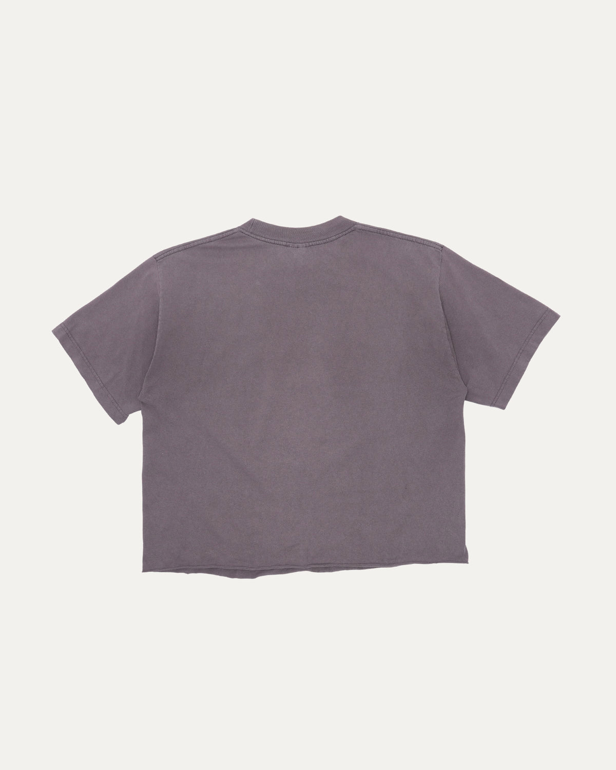 Pornstar T-Shirt