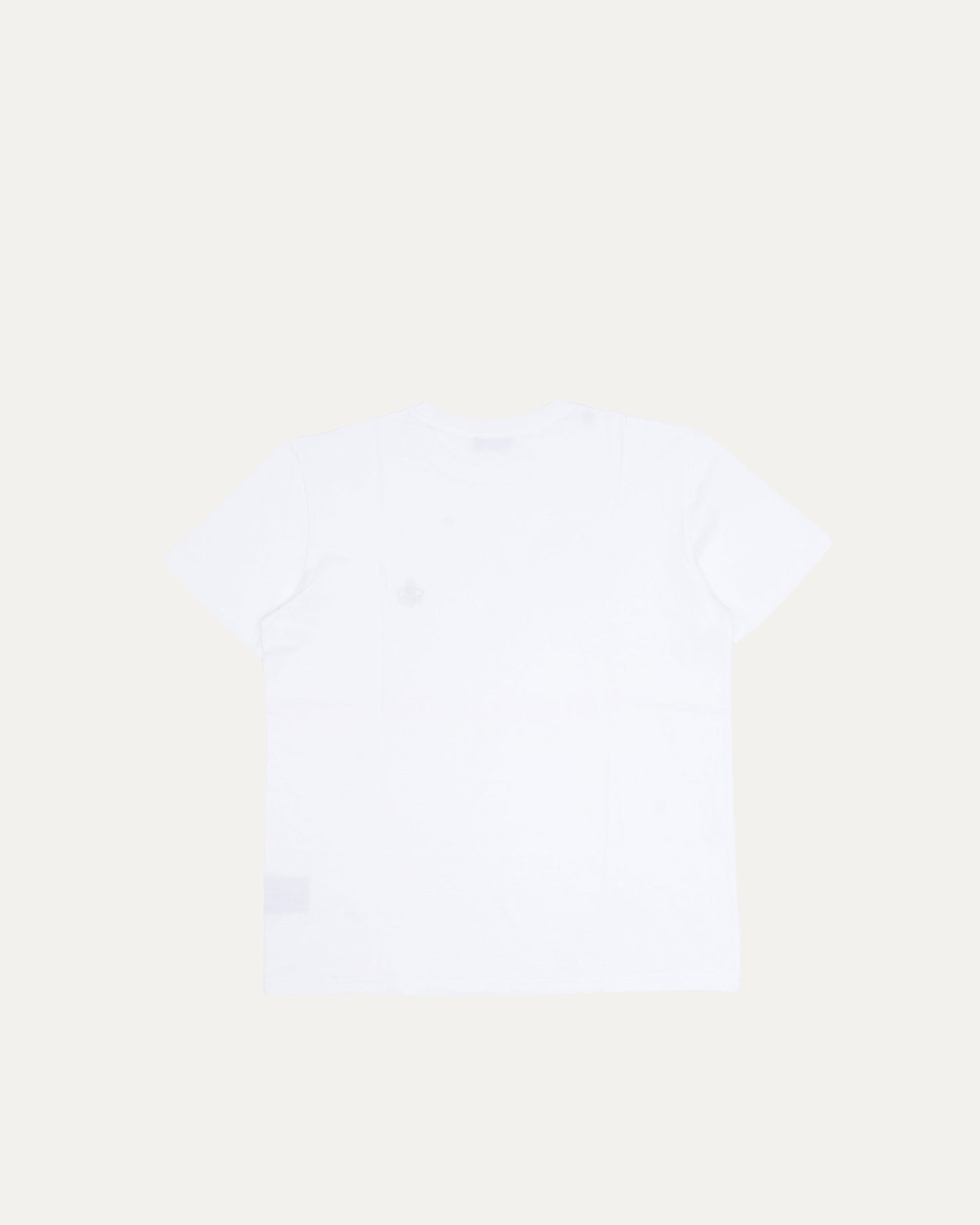 Kaws Embroidered Bee T-Shirt
