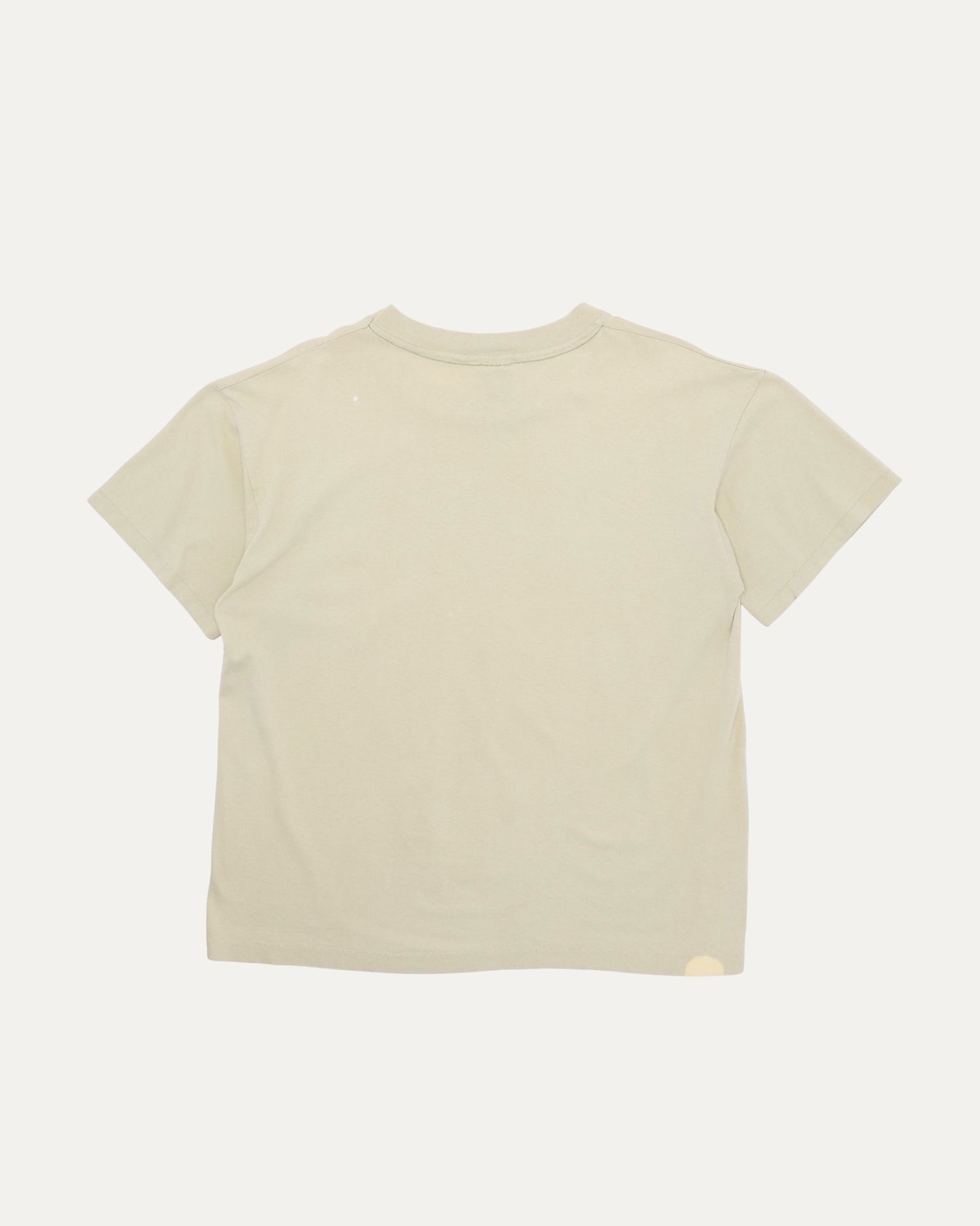 Nirvana Incesticide T-Shirt