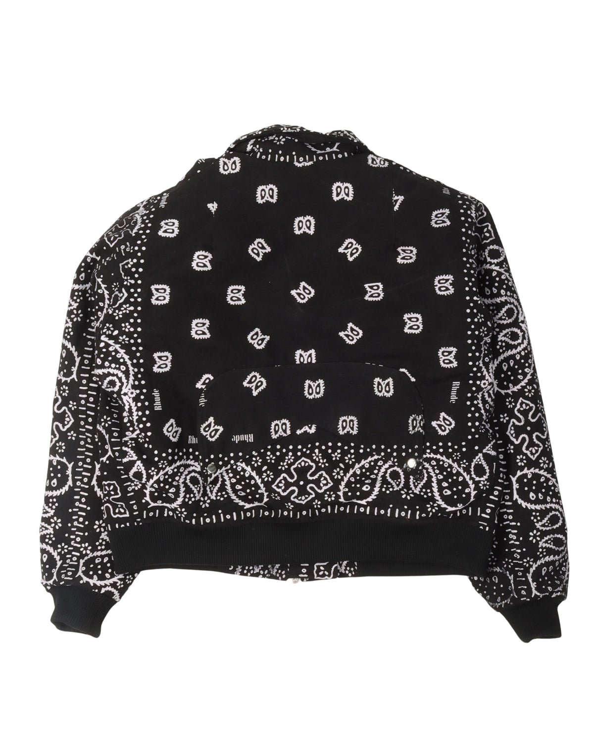 Paisley Print Canvas Jacket