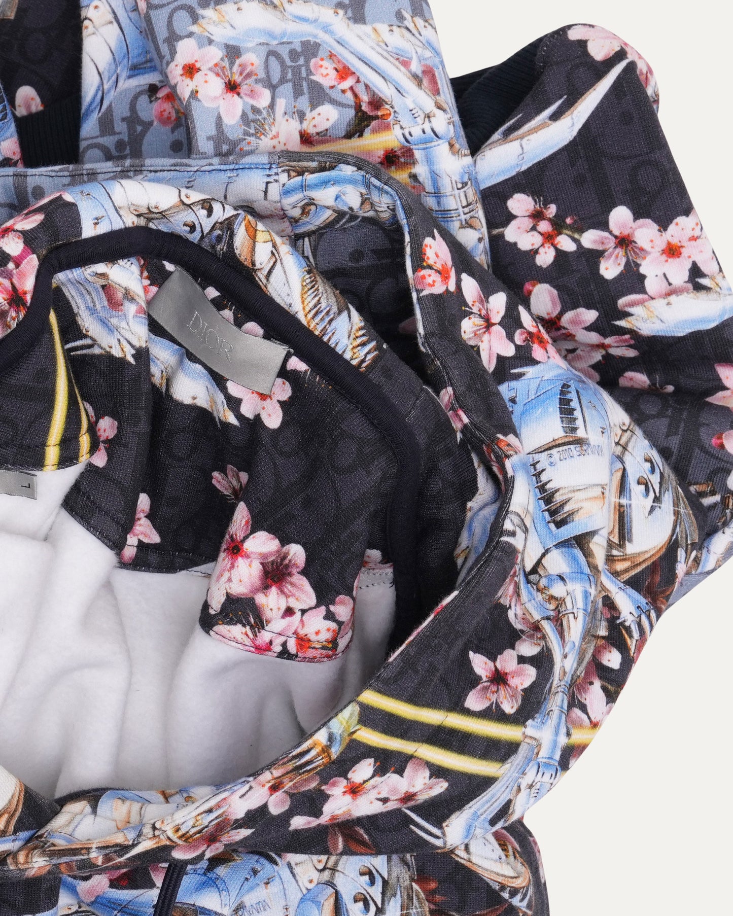 Sorayama Dinosaur Cherry Blossom Oblique Hoodie