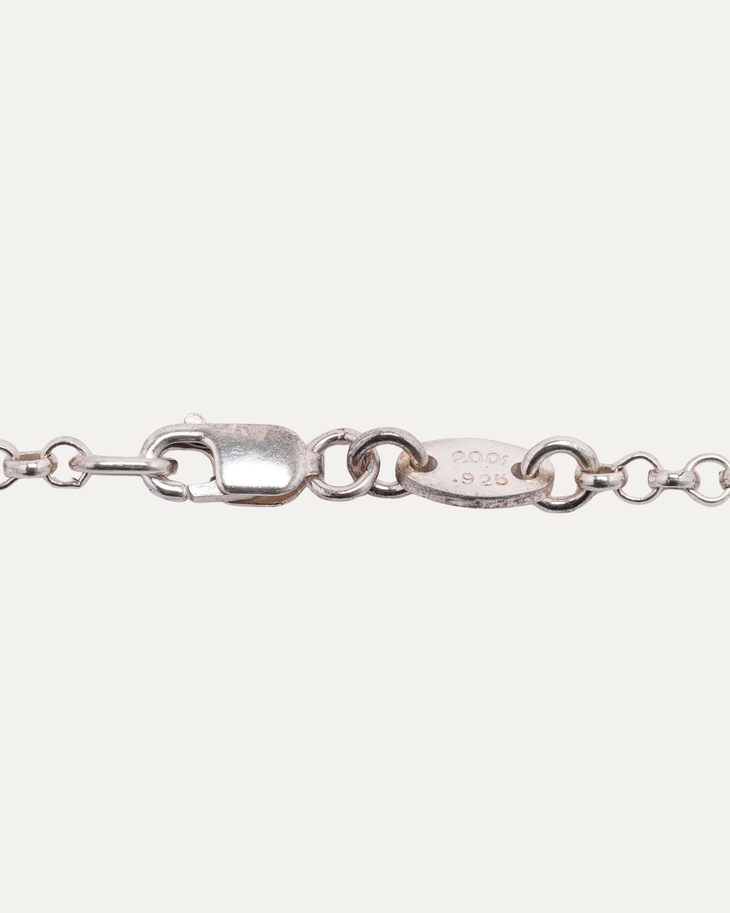 Dinosaur Pendant on Roll Chain