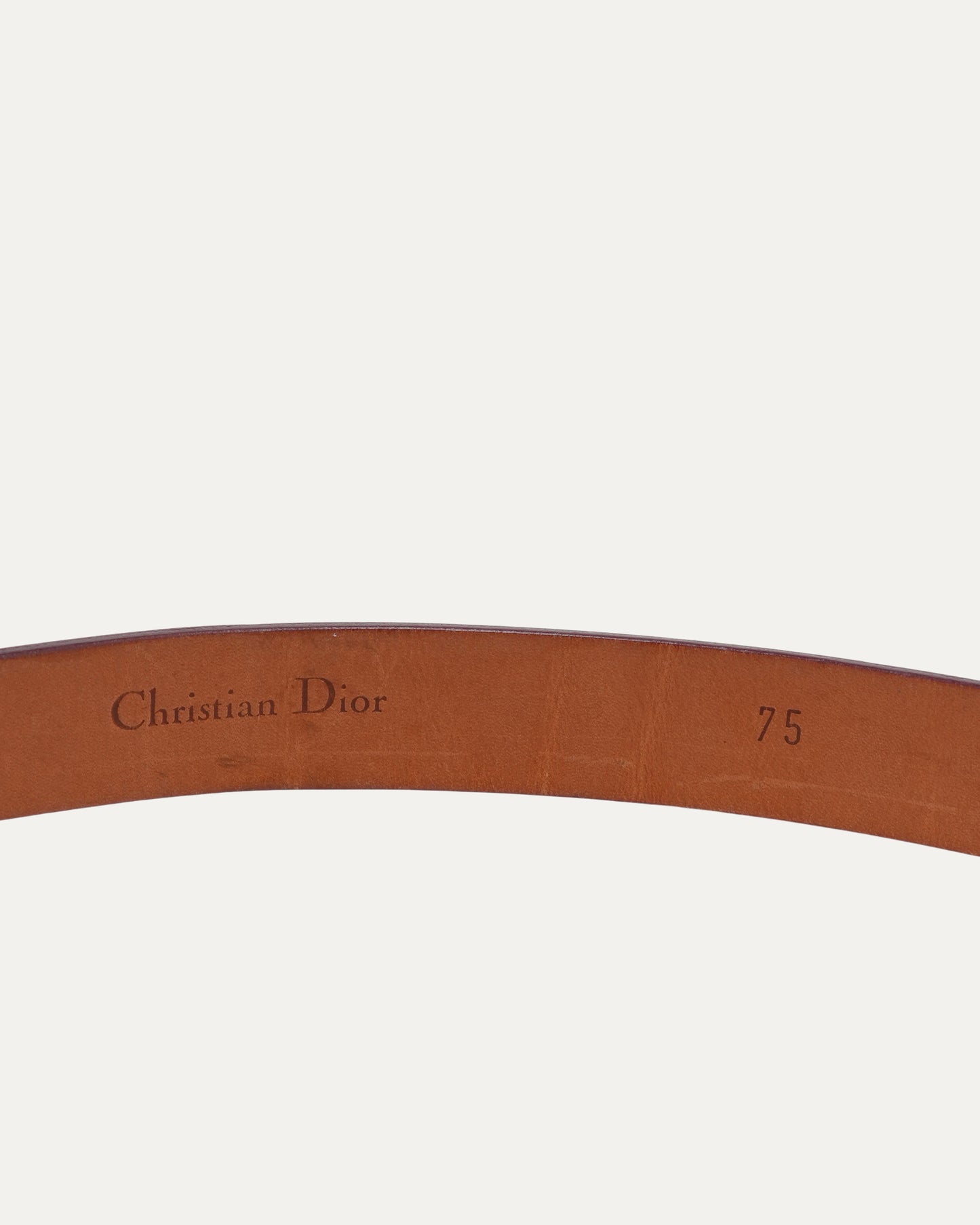 SS 2001 License Plate Belt